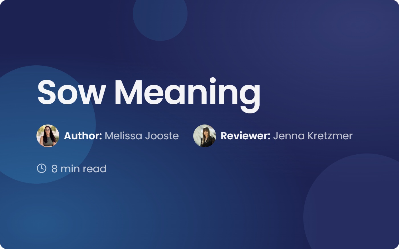 Sow Meaning: The Guide to Statements of Work