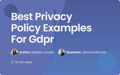 Best Privacy Policy Examples For Gdpr | Compliance Guide