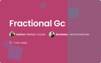 Fractional Gc: Expert Legal Support for Growing Teams